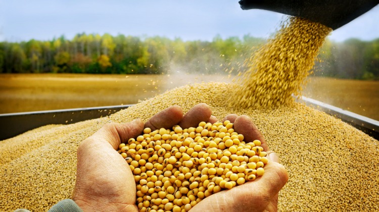 La facturación por las remesas de soja y maíz rondaría los US$ 28.700 millones