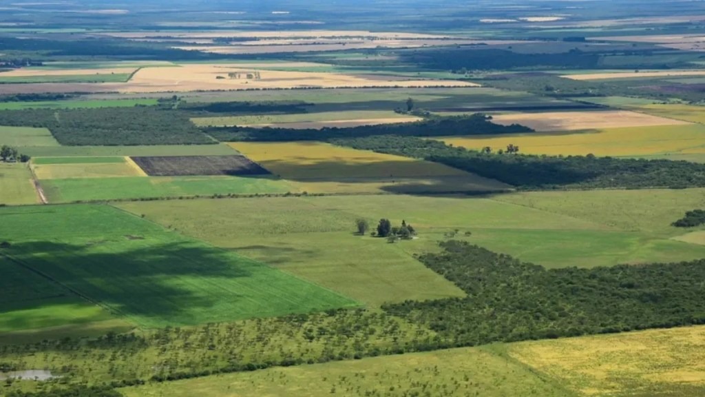 Freno judicial a la derogación de la Ley de Tierras