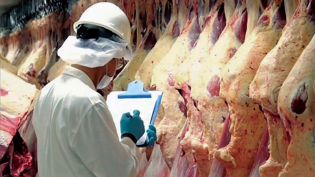 Exportaciones de carne: China pagó menos y el impacto en los ingresos de los frigoríficos exportadores fue notorio