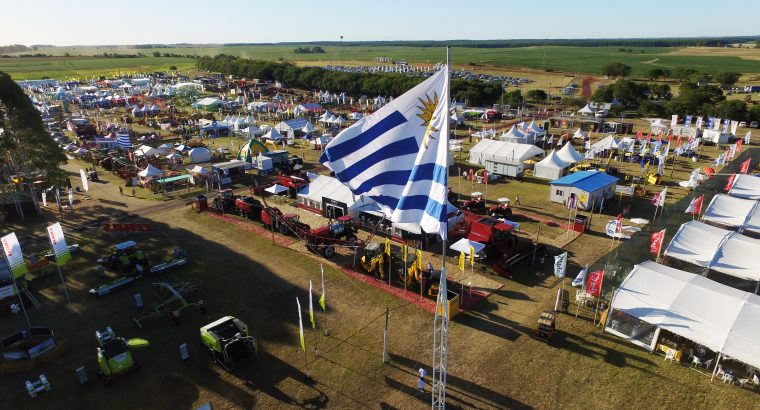 Expoactiva 2022: A Uruguay de la mano de AgroActiva
