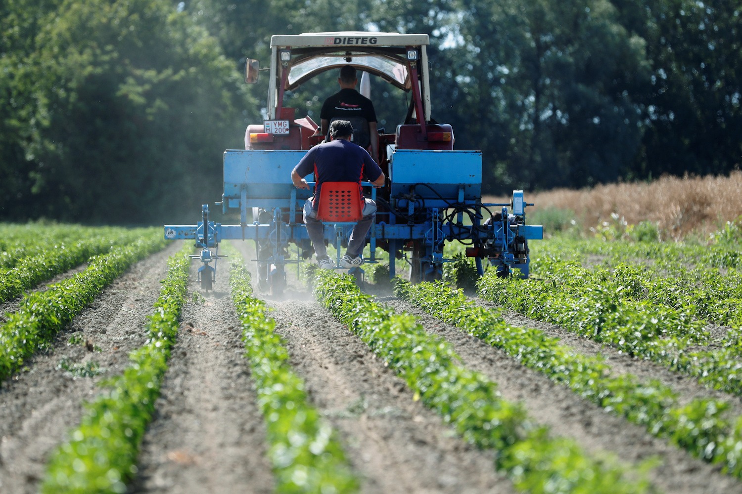 2023 cerró con el uso de fertilizantes más bajo en seis años