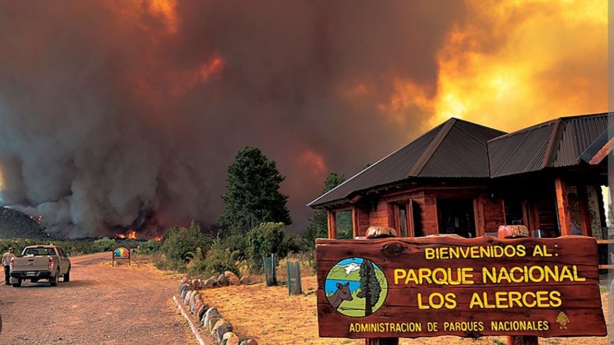 Alerta: ya son más de 2.000 las hectáreas quemadas en el Parque Nacional Los Alerces