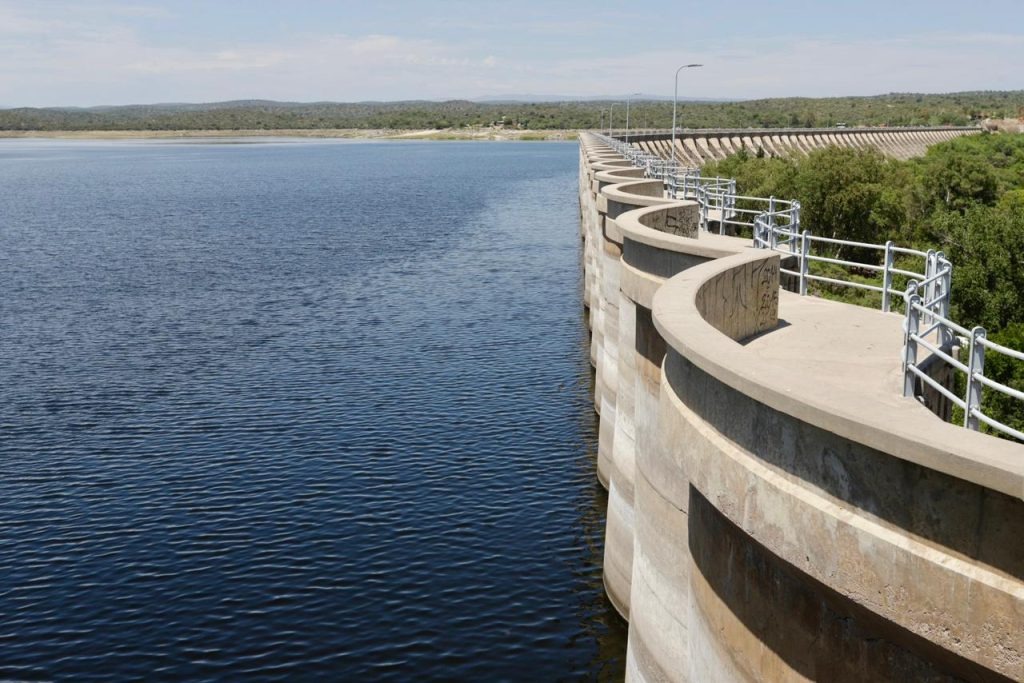 Mortandad de peces: se determinó que la causa fue una disminución del oxígeno, provocado por las altas temperaturas