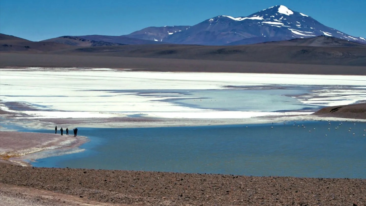 Día de los humedales: los ecosistemas clave que ocupan un 20% del país, pero que no tienen ley que los proteja