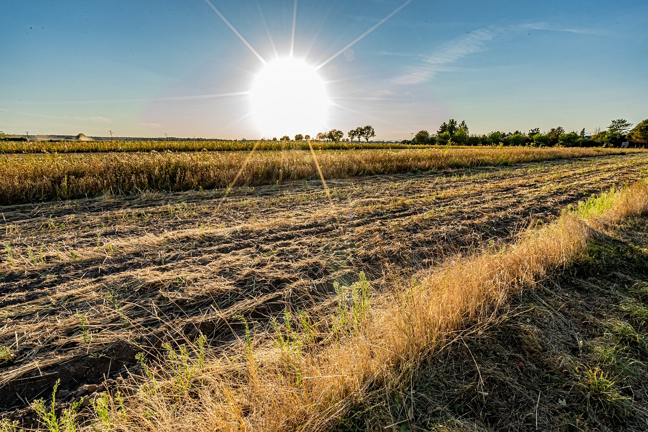 Continúan las altas temperaturas y persiste alerta roja en diversas zonas