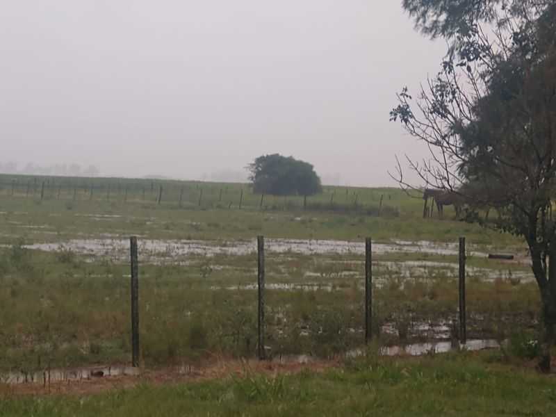 Lluvias homogéneas en la región núcleo, con acumulados que oscilaron entre 45 y 100 milímetros