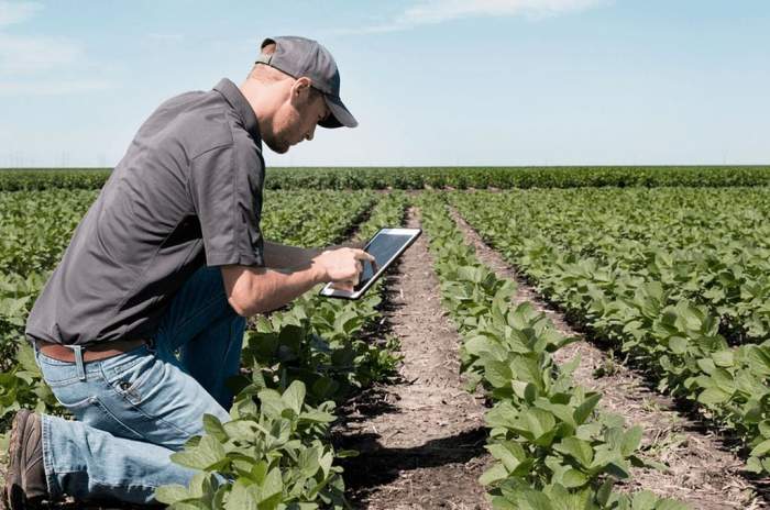 El Colegio de ingenieros agrónomos implementa la Bolsa de Trabajo
