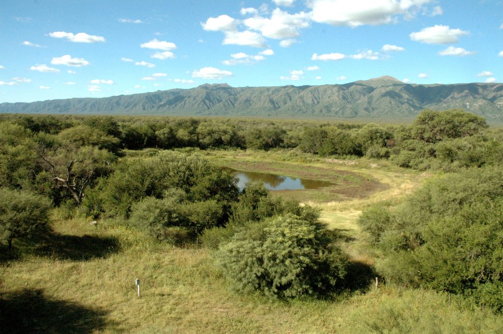 Bosque nativo: se amplía hasta el 15 de abril el plazo para acceder al pago por Servicios Ambientales