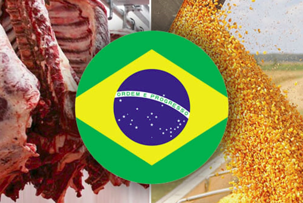Brasil nos deja atrás tras una enorme gestión para ser el dueño del agronegocio global
