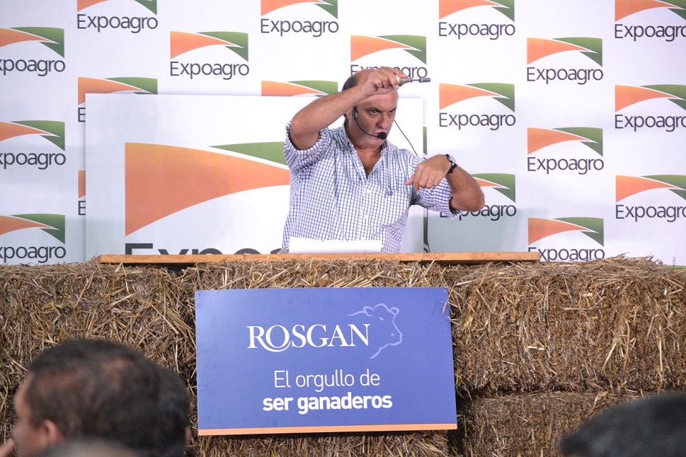 Rosgan en Expoagro volvió a mostrar porque la ganadería tiene futuro