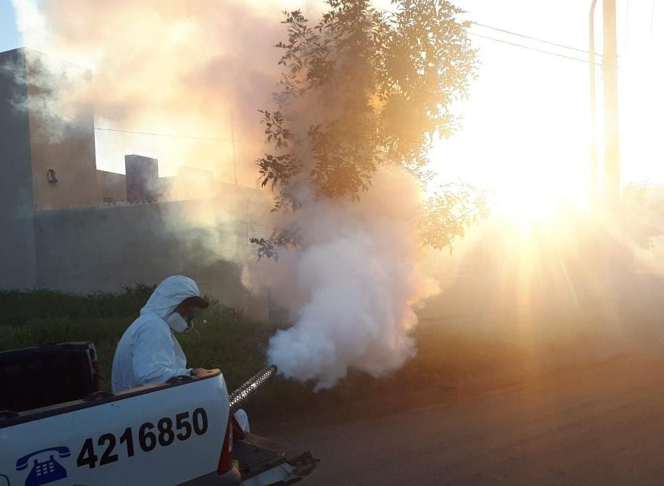 Dengue: acciones efectivas y seguras de la mano de los profesionales