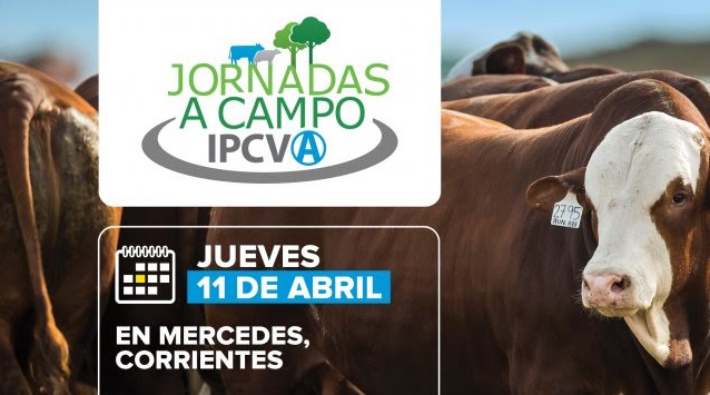 Jornada a campo del IPCVA en Corrientes: Carne del NEA al mundo