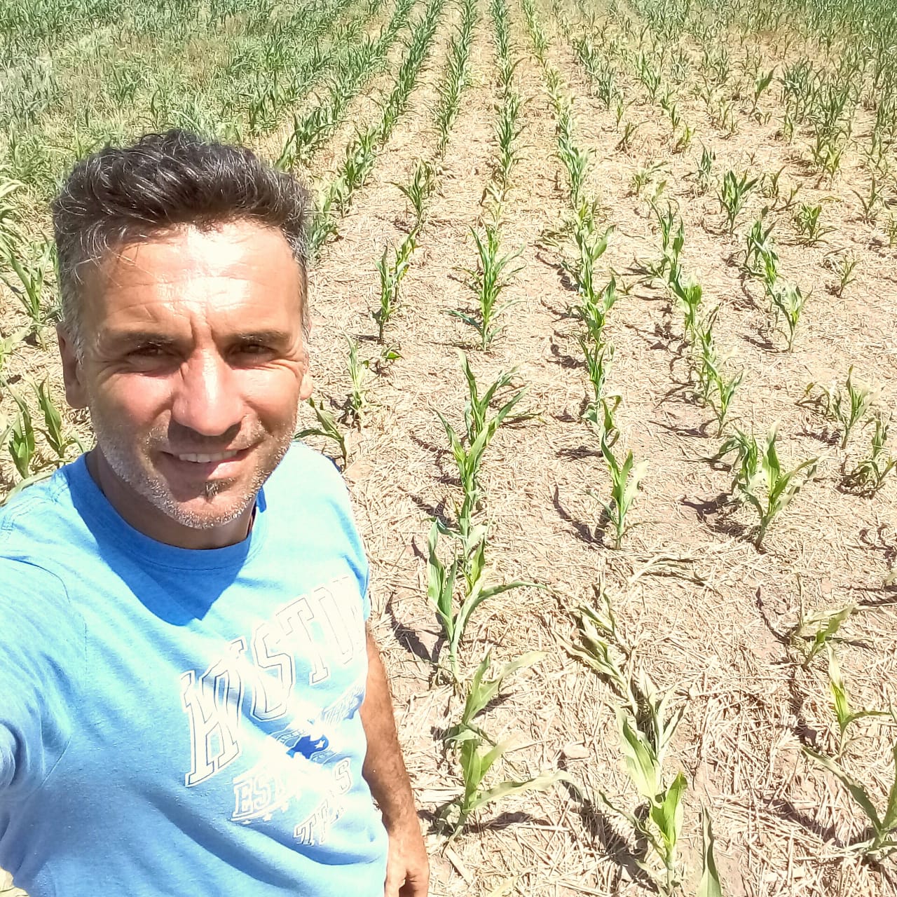 Efectos de la sequía: Los planteos tardíos asoman con posibilidades para revertir la situación