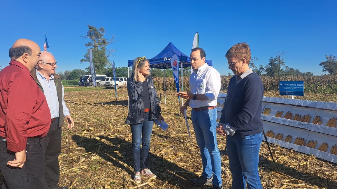 Agronea 2024 “Inteligencia Agropecuaria” abrirá sus puertas a visitantes de todo el mundo