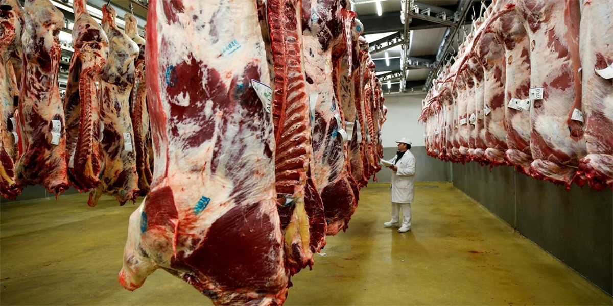  La faena de carne bovina cae menos de lo esperado y se espera un segundo semestre a buen ritmo