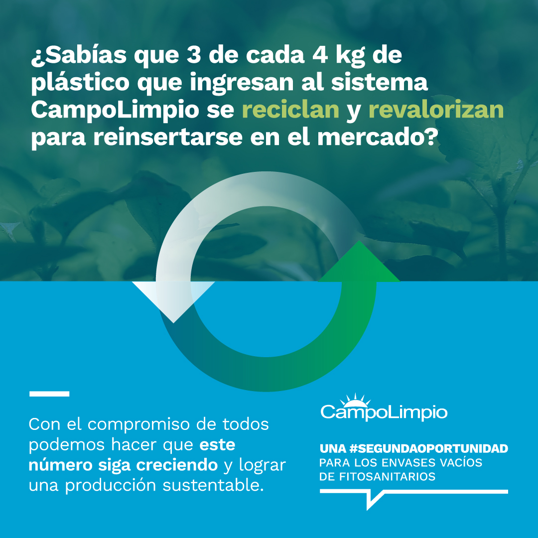 Dia del reciclaje: El reciclado de plástico, desafíos para la agricultura sustentable

