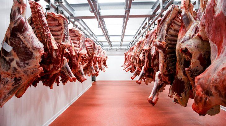 El Gobierno repartió el cupo para exportar carne a Estados Unidos