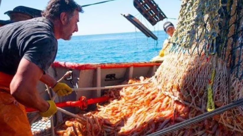 La industria pesquera advirtió “una crisis inminente” y pidió la suspensión de los derechos de exportación