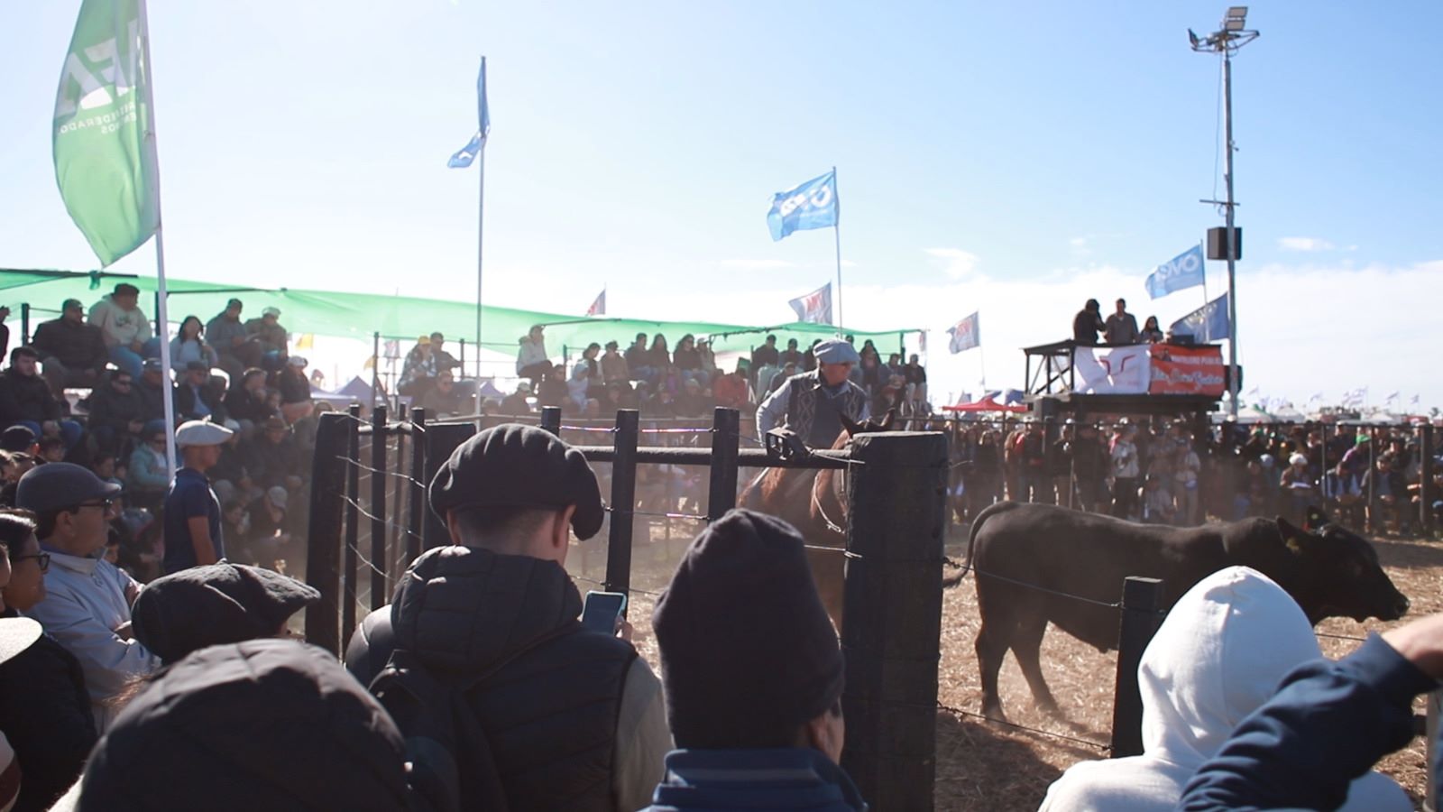 Agronea 2024: Ganadería, análisis económico y ciberseguridad, sobresalieron en otra exitosa jornada 