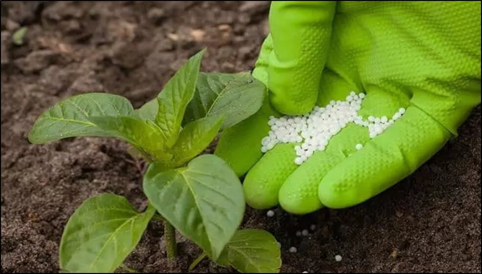 Tras un 2021 de subas, el precio de los fertilizantes inició con una baja el 2022