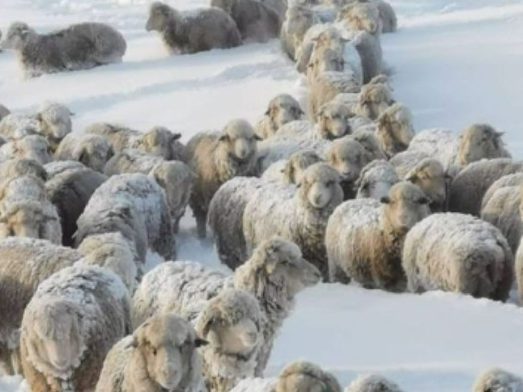 Iraeta anunció medidas para los productores de la Patagonia tras la primera reunión con la Mesa de Enlace