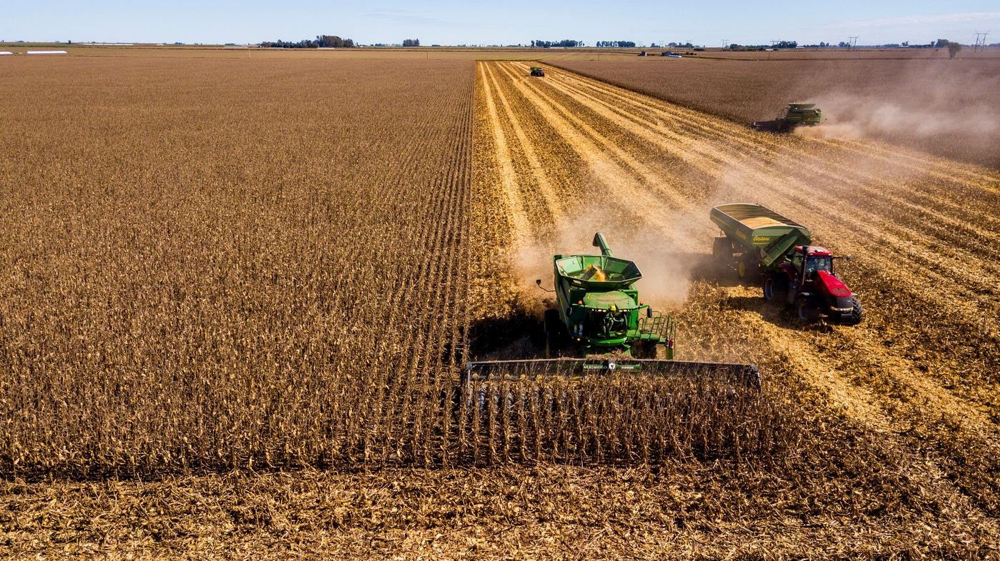 La agronomía del hoy y el maíz del futuro