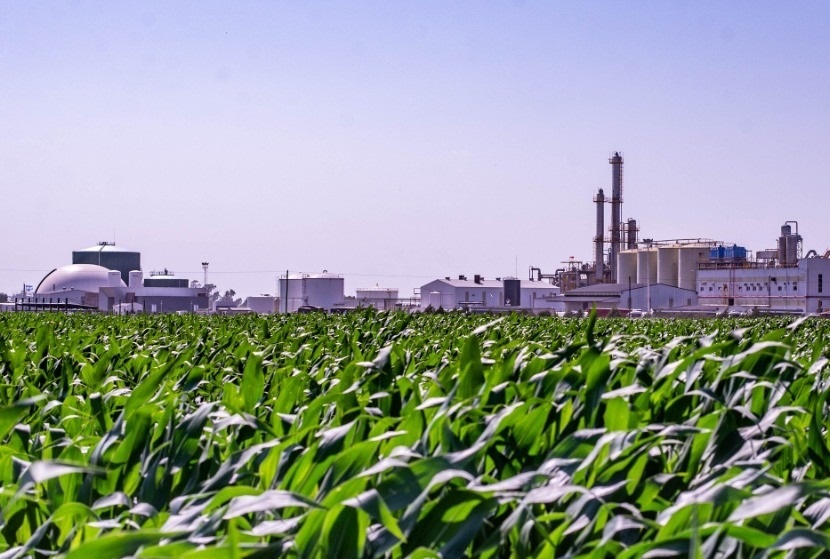 Caracterización de la producción de etanol en Argentina
