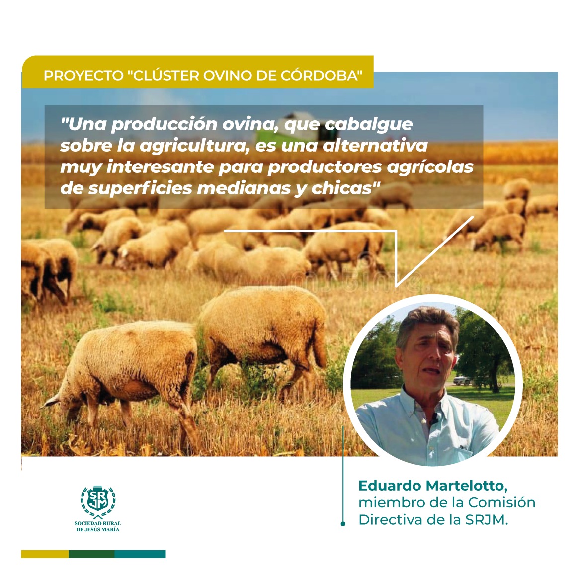 Las ventajas de integrar ovinos a los sistemas productivos agrícolas