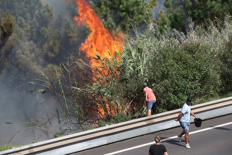 Incendios azotan media Europa en el día mundial de la prevención de incendios