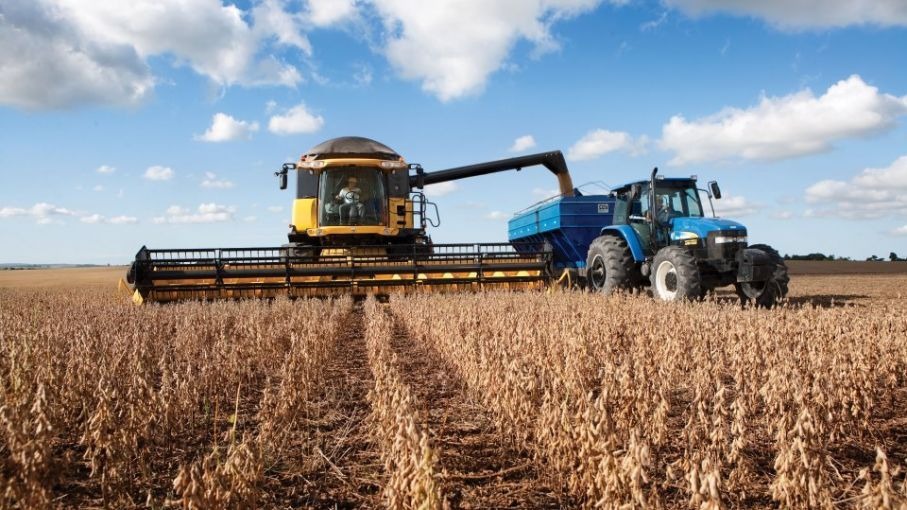 Soja: preocupa el escenario bajista de precios internacionales, el deterioro de la relación insumo-producto y la incertidumbre climática