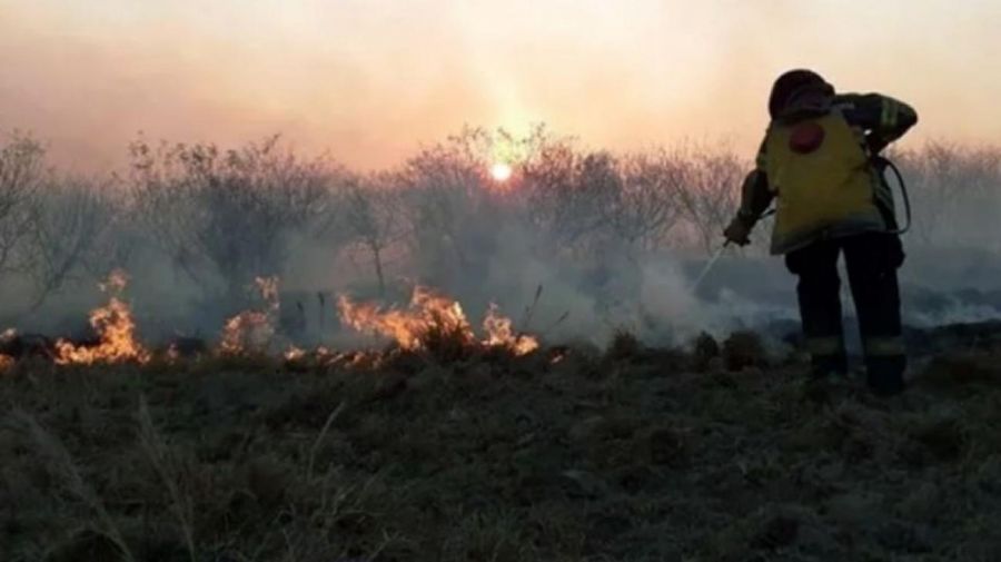 Corrientes declaró el estado de desastre agropecuario por incendios rurales