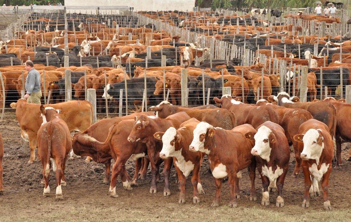 Habrá menor ingreso de hacienda por la sequía