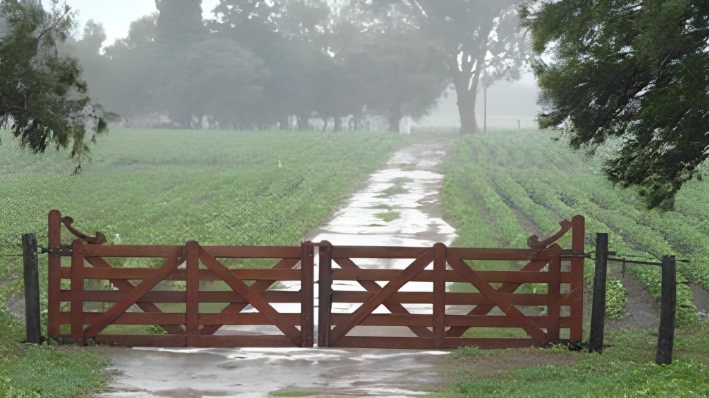 Las lluvias siguen beneficiando a la región núcleo y suman volúmenes importantes