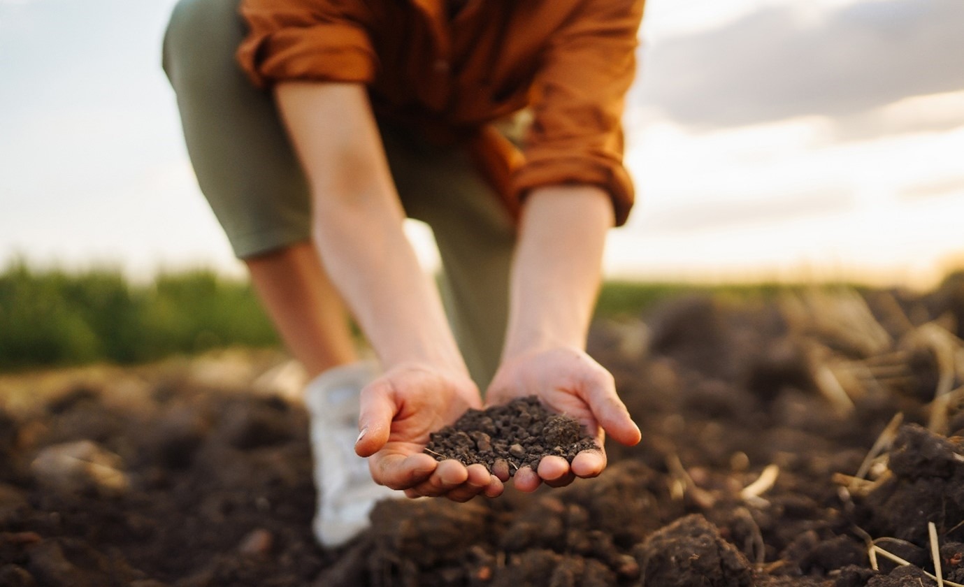 Bayer y fyoFoods se unen para promover la producción sustentable de cultivos de especialidades