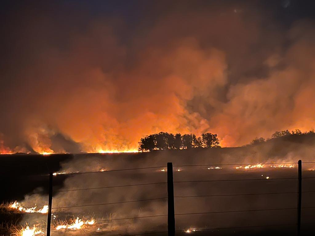 Ya son 520 mil hectáreas afectadas por los incendios en Corrientes creciendo en 20 mil hectáreas por día que se están quemando