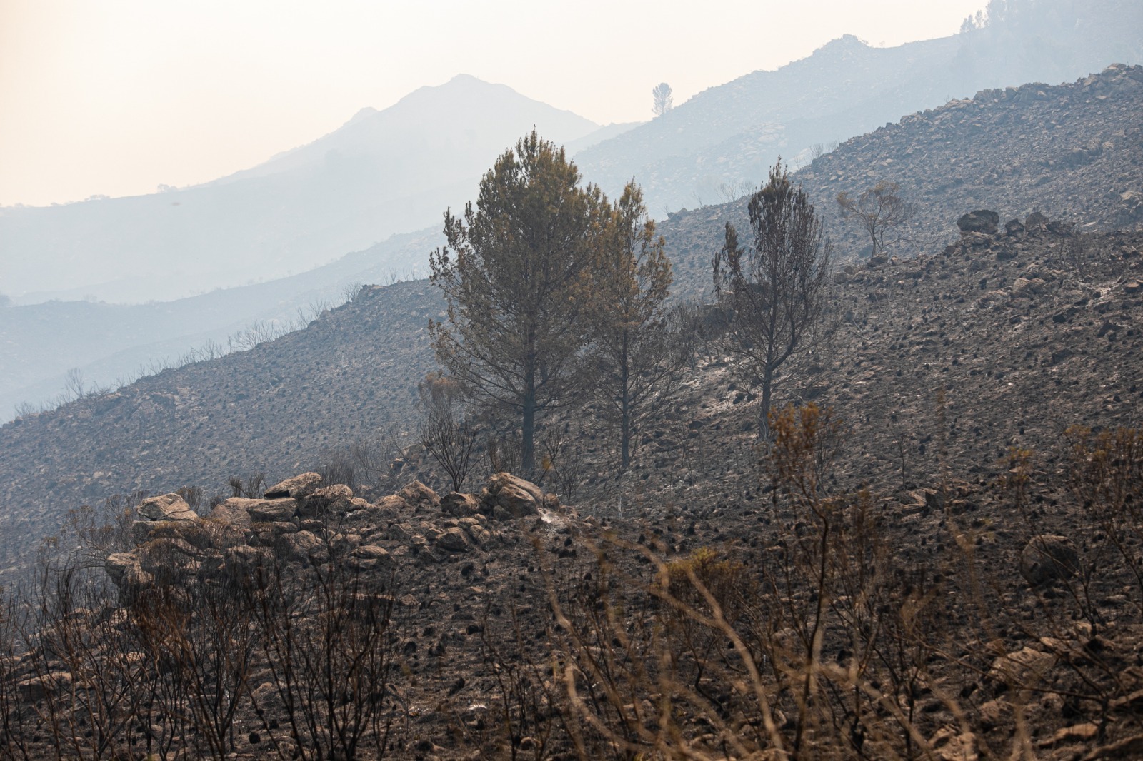 Incendios: Córdoba solicitó a Nación la homologación de desastre agropecuario