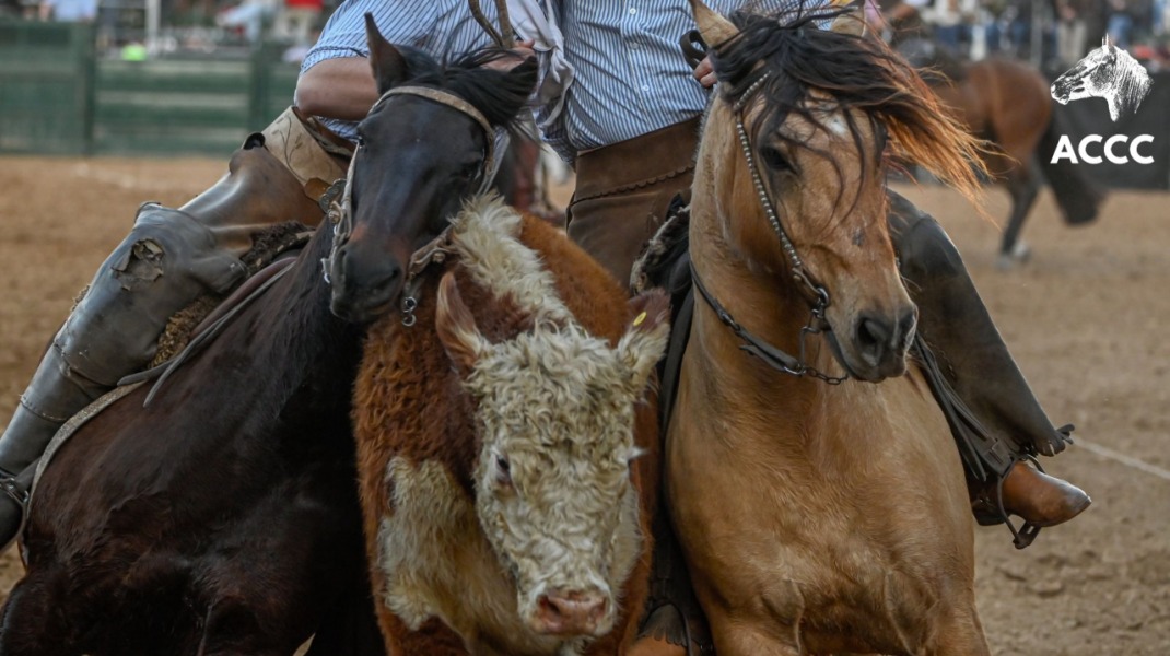 La Asociación Criadores de Caballos Criollos en la próxima Exposición Nuestros Caballos en Otoño 2025