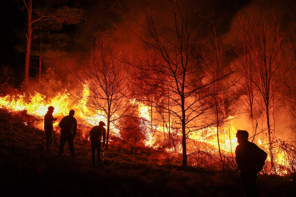 Las Rurales del Arco Noroeste reclaman urgente Ordenamiento Territorial y Soluciones Reales al tema de los incendios forestales