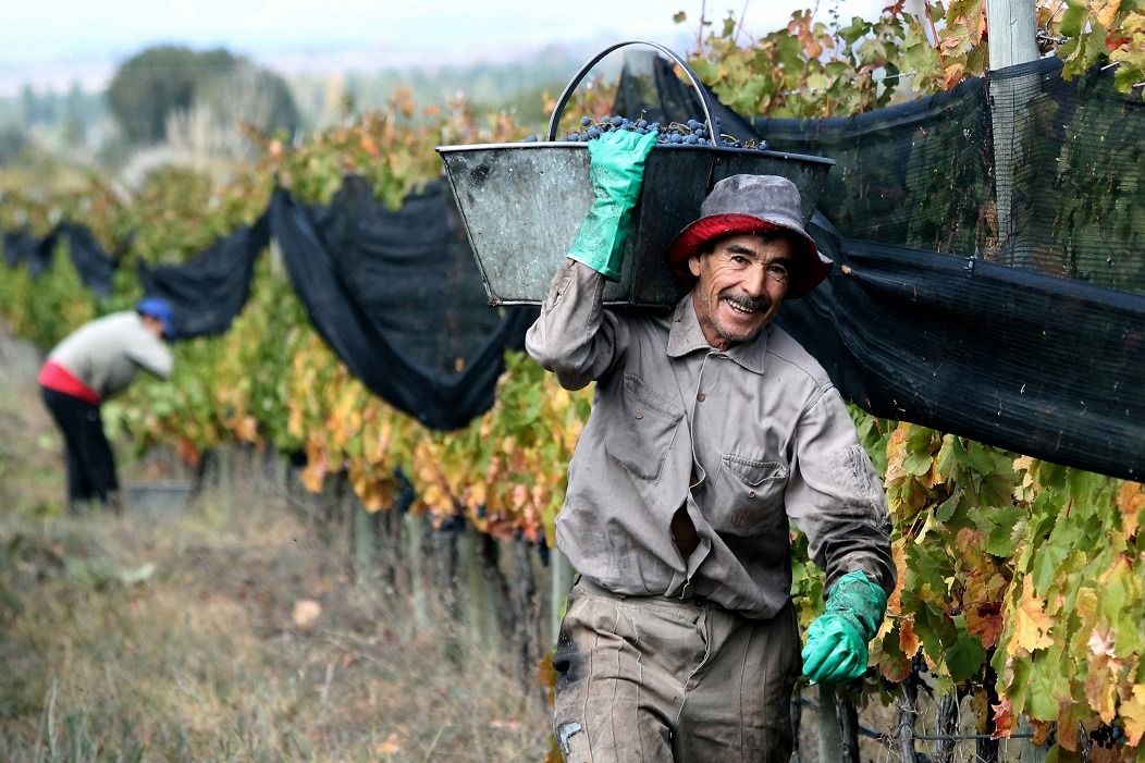 Trabajadores rurales: las prestaciones por desempleo serán de hasta $ 200.000