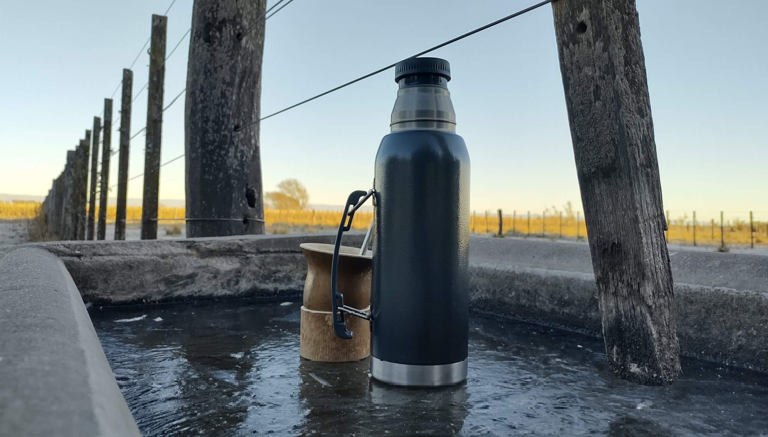 Día del Mate: estiman que cada argentino consume 100 litros al año, más que café, cerveza y vino