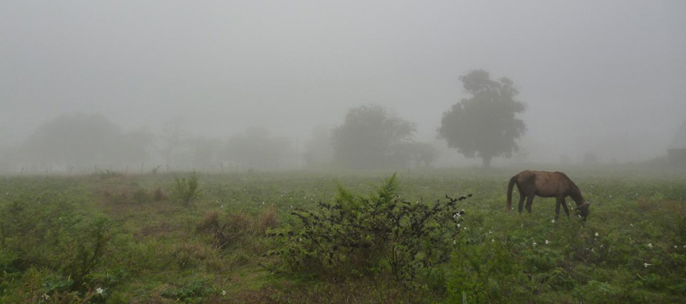 Con la llegada de las lluvias esperan el alivio en Corrientes