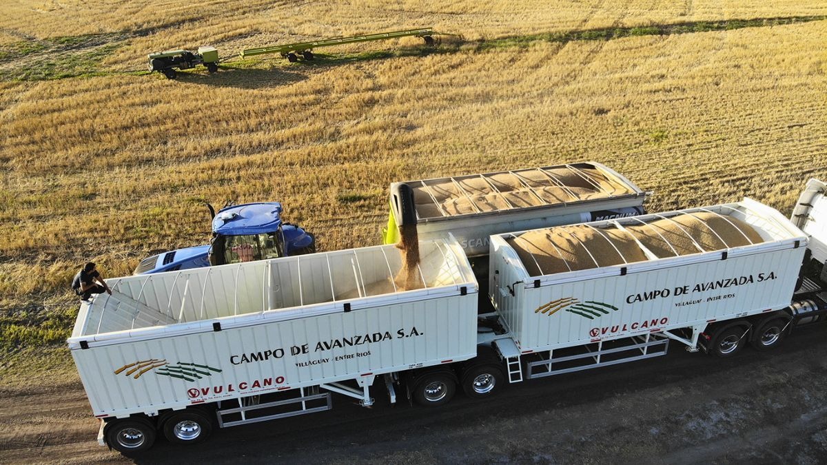 Empresa del agro cordobesa entra en default y pide concurso preventivo