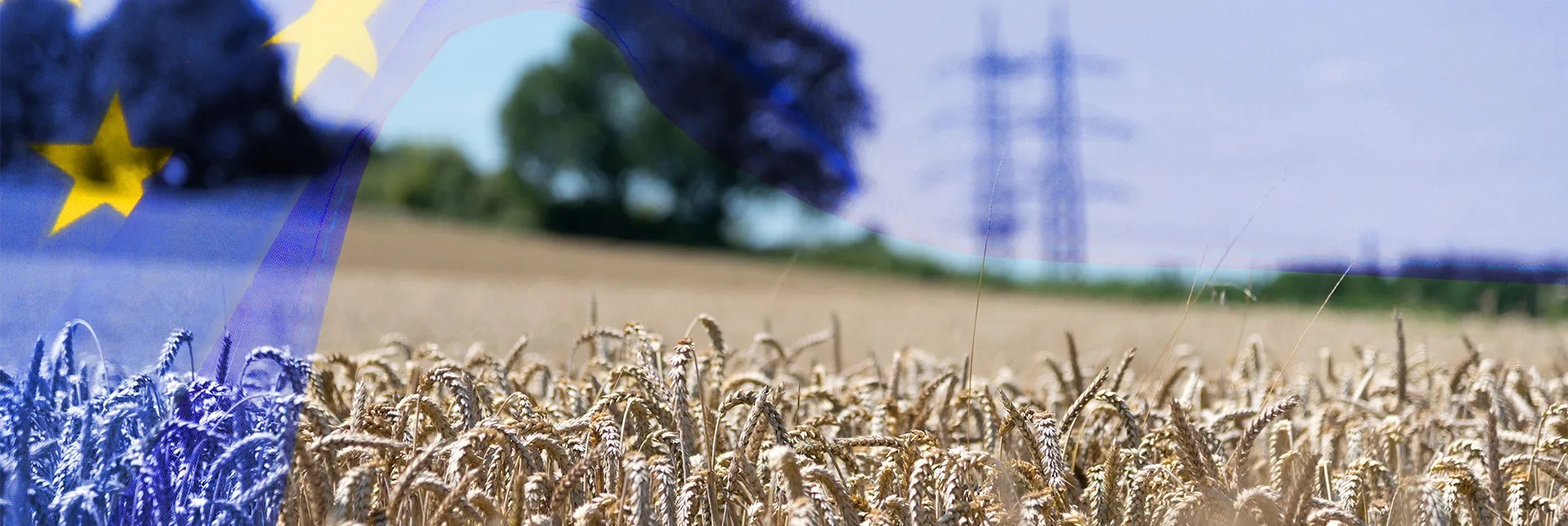 En Europa una encuesta reveló un masivo apoyo a los productores