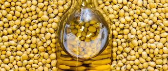 Las 5 debilidades que frenan el potencial agrícola de Argentina