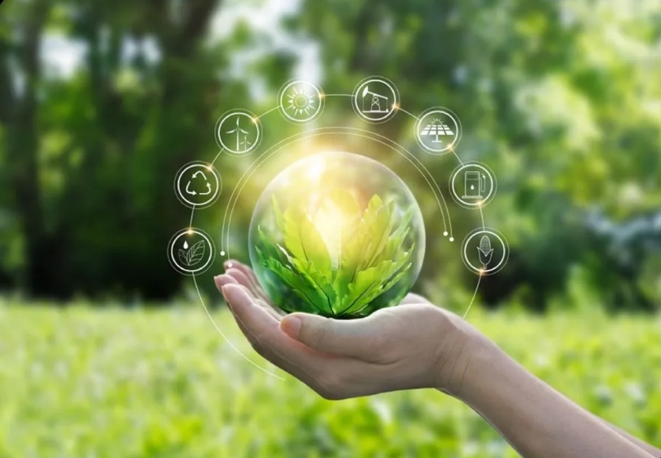 El círculo verde: un networking de Bioeconomía propone negocios sostenibles