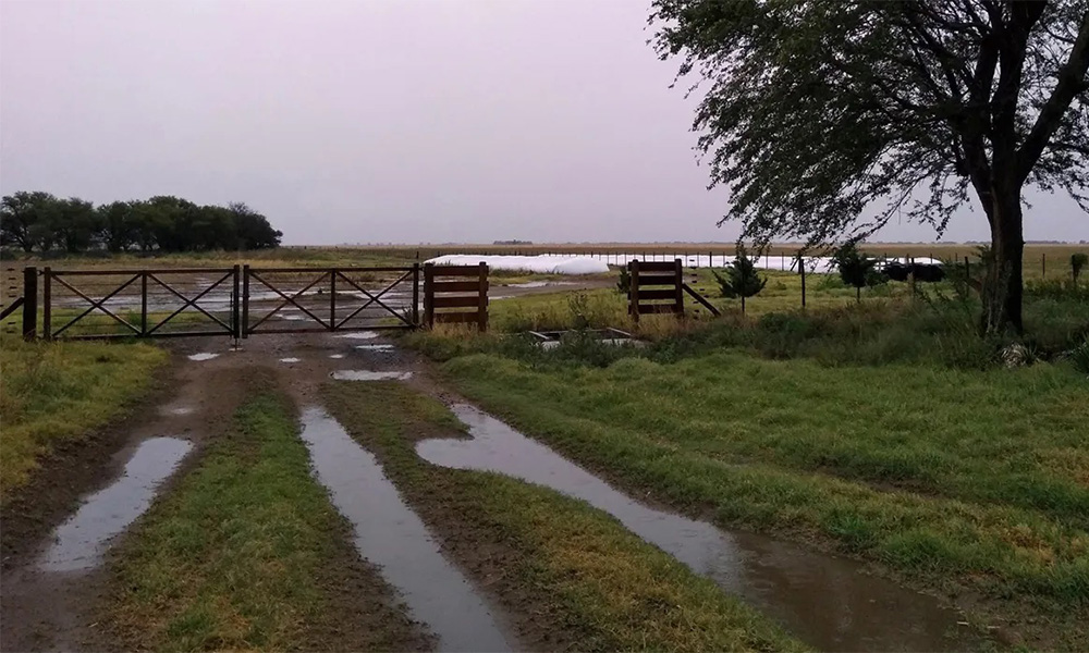 Lluvias en Córdoba: importantes acumulados en zonas agrícolas