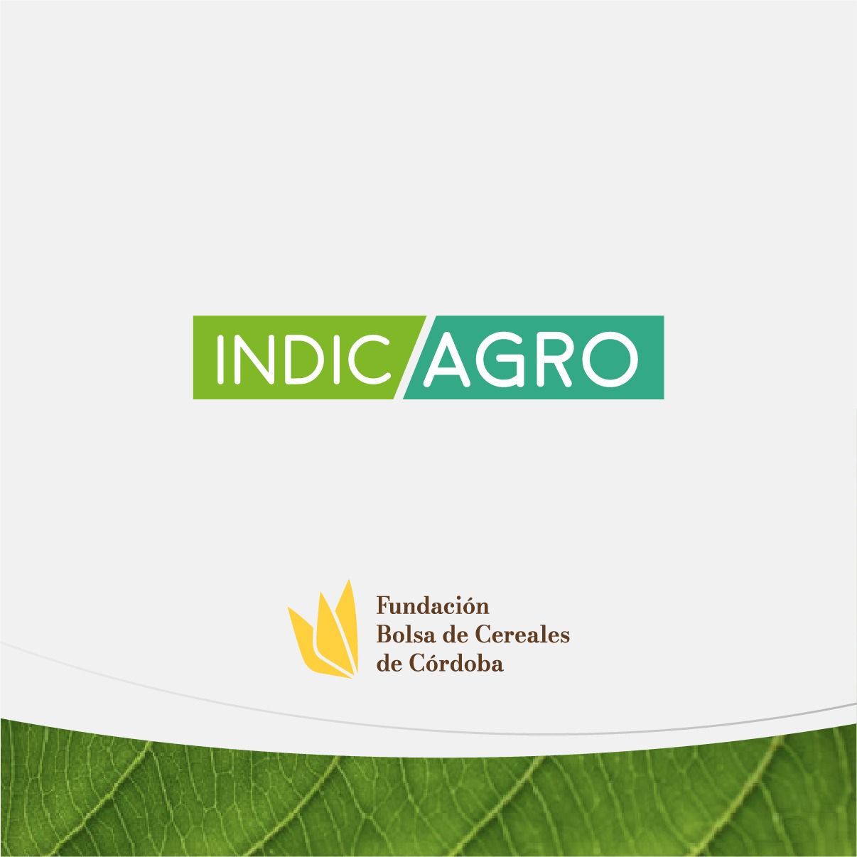 Más de 6.700 diagnósticos aplicados en IndicAgro avalan el apoyo a la responsabilidad social del sector