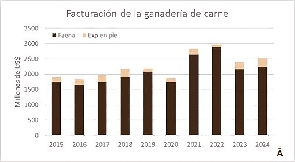 La ganadería de carne facturó algo más de US$ 2.500 millones en 2024
