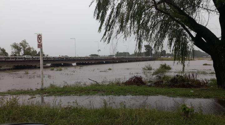 Reporte de precipitaciones de Enero 2025