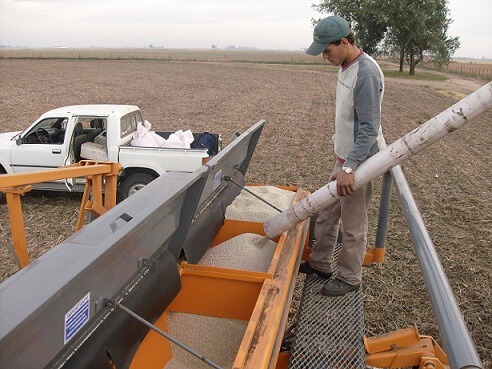 A pesar de la baja en los precios, los granos mejoran su capacidad de compra de insumos clave